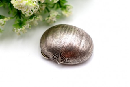 Caixa de comprimidos em forma de castanha com relevos